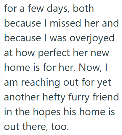 for a few days, both because I missed her and because I was overjoyed at how perfect her new home is for her. Now, I am reaching out for yet another hefty furry friend in the hopes his home is out there, too.
