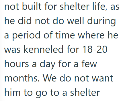 not built for shelter life, as he did not do well during a period of time where he was kenneled for 18-20 hours a day for a few months. We do not want him to go to a shelter