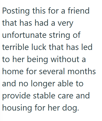 Posting this for a friend that has had a very unfortunate string of terrible luck that has led to her being without a home for several months and no longer able to provide stable care and housing for her dog.