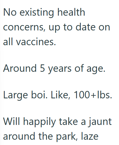 No existing health concerns, up to date on all vaccines. Around 5 years of age. Large boi. Like, 100+ lbs. Will happily take a jaunt around the park, laze