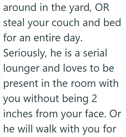around in the yard, OR steal your couch and bed for an entire day. Seriously, he is a serial lounger and loves to be present in the room with you without being 2 inches from your face. Or he will walk with you for
