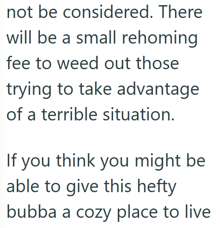 not be considered. There will be a small rehoming fee to weed out those trying to take advantage of a terrible situation. If you think you might be able to give this hefty bubba a cozy place to live