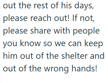 out the rest of his days, please reach out! If not, please share with people you know so we can keep him out of the shelter and out of the wrong hands!