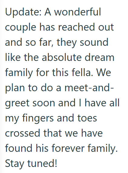 Update: A wonderful couple has reached out and so far, they sound like the absolute dream family for this fella. We plan to do a meet-and- greet soon and I have all my fingers and toes crossed that we have found his forever family. Stay tuned!