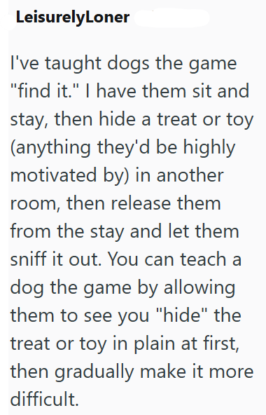 LeisurelyLoner I've taught dogs the game "find it." I have them sit and stay, then hide a treat or toy (anything they'd be highly motivated by) in another room, then release them from the stay and let them sniff it out. You can teach a dog the game by allowing them to see you "hide" the treat or toy in plain at first, then gradually make it more difficult.