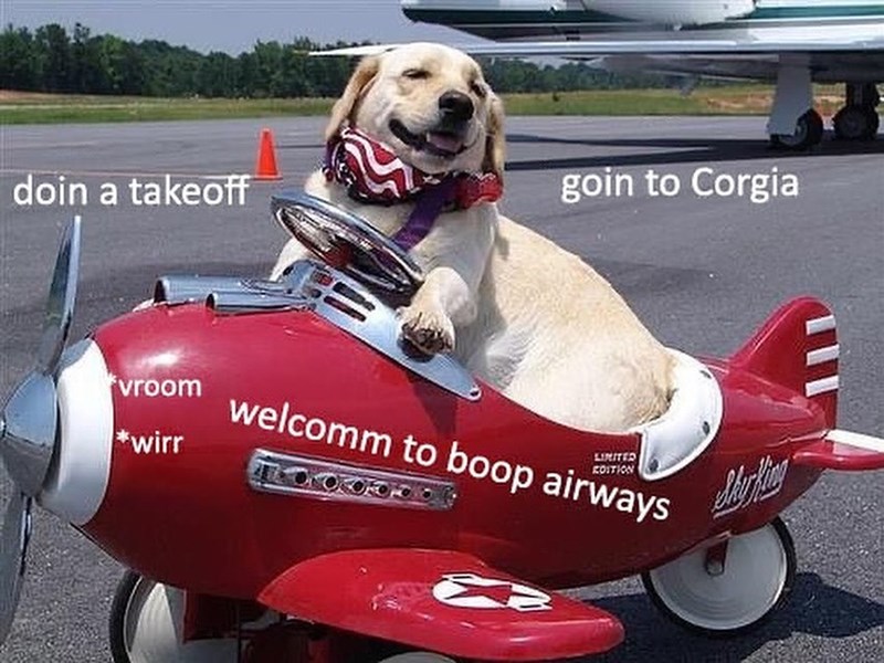 doin a takeoff goin to Corgia vroom wirr welcomm to boop airways LIMITED COITION AL