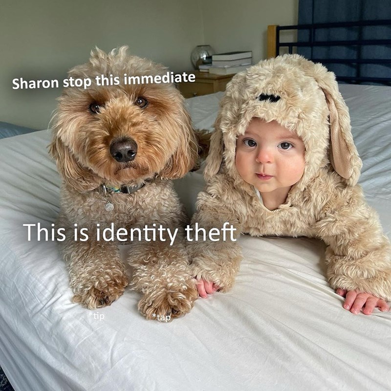 Sharon stop this immediate This is identity theft tap tip