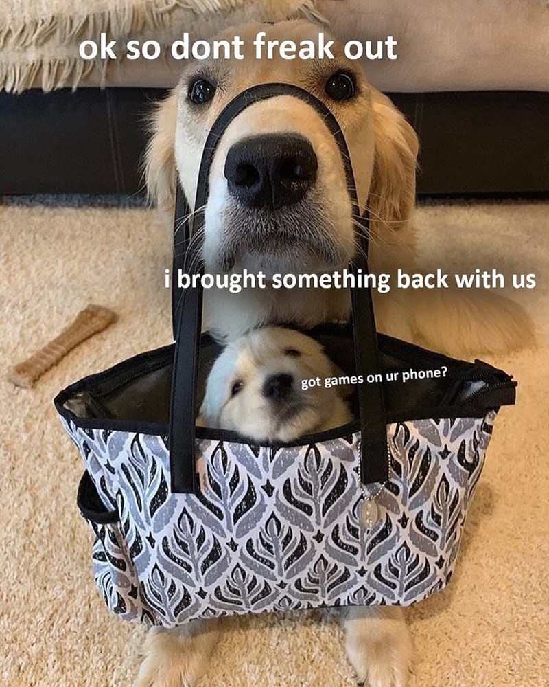 ok so dont freak out i brought something back with us got games on ur phone?