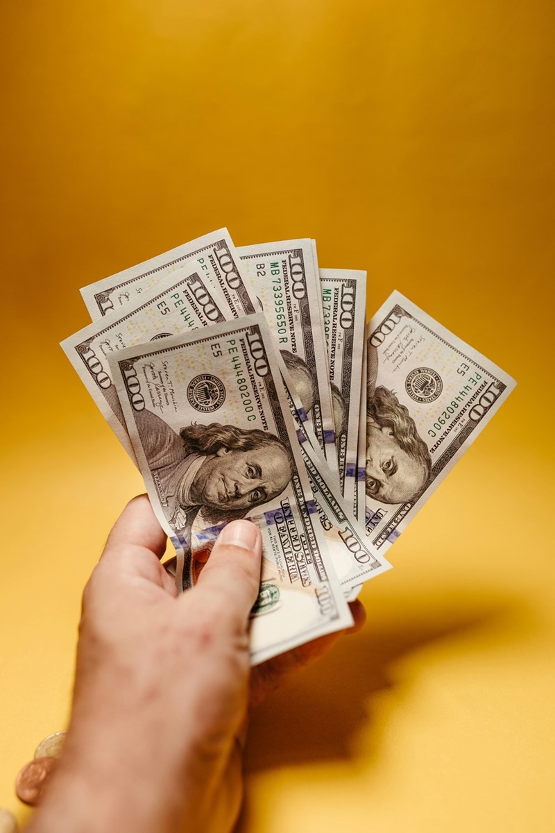 person holding money