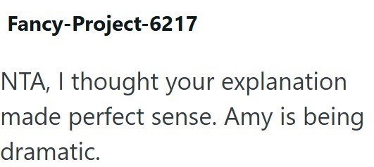 Fancy-Project-6217 NTA, I thought your explanation made perfect sense. Amy is being dramatic.