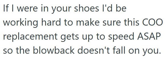 If I were in your shoes I'd be working hard to make sure this COO replacement gets up to speed ASAP so the blowback doesn't fall on you.