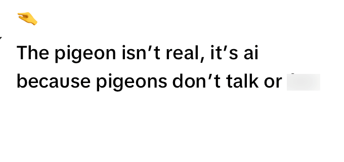 The pigeon isn't real, it's ai because pigeons don't talk or