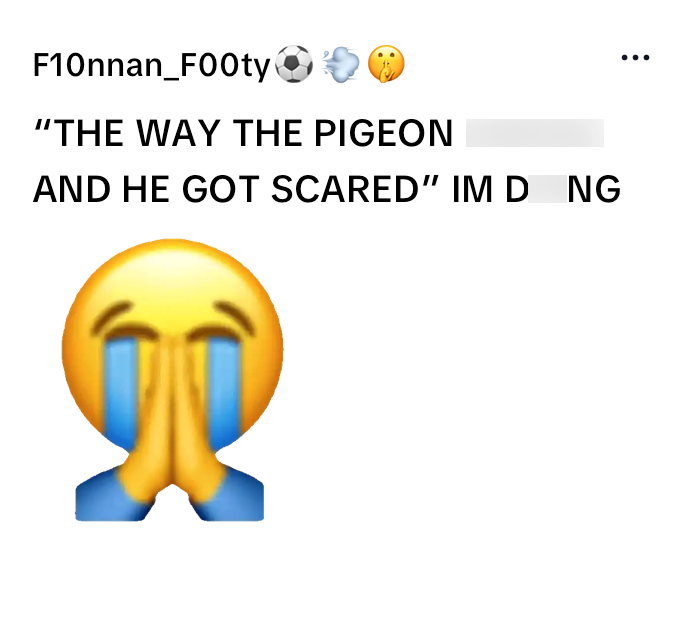F10nnan_F00ty "THE WAY THE PIGEON AND HE GOT SCARED" IMD NG