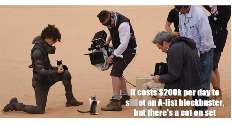 It costs $200k per day to Not an A-list blockbuster, but there's a cat on set S