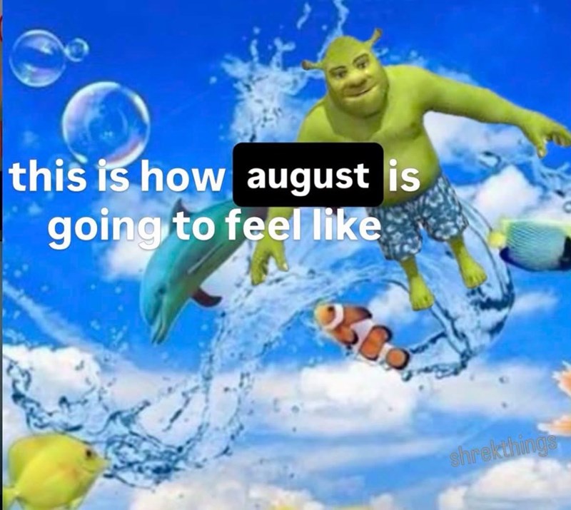 this is how august is going to feel like shrekthings