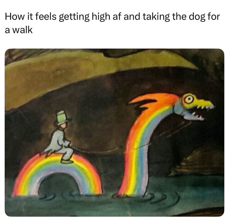 How it feels getting high af and taking the dog for a walk N