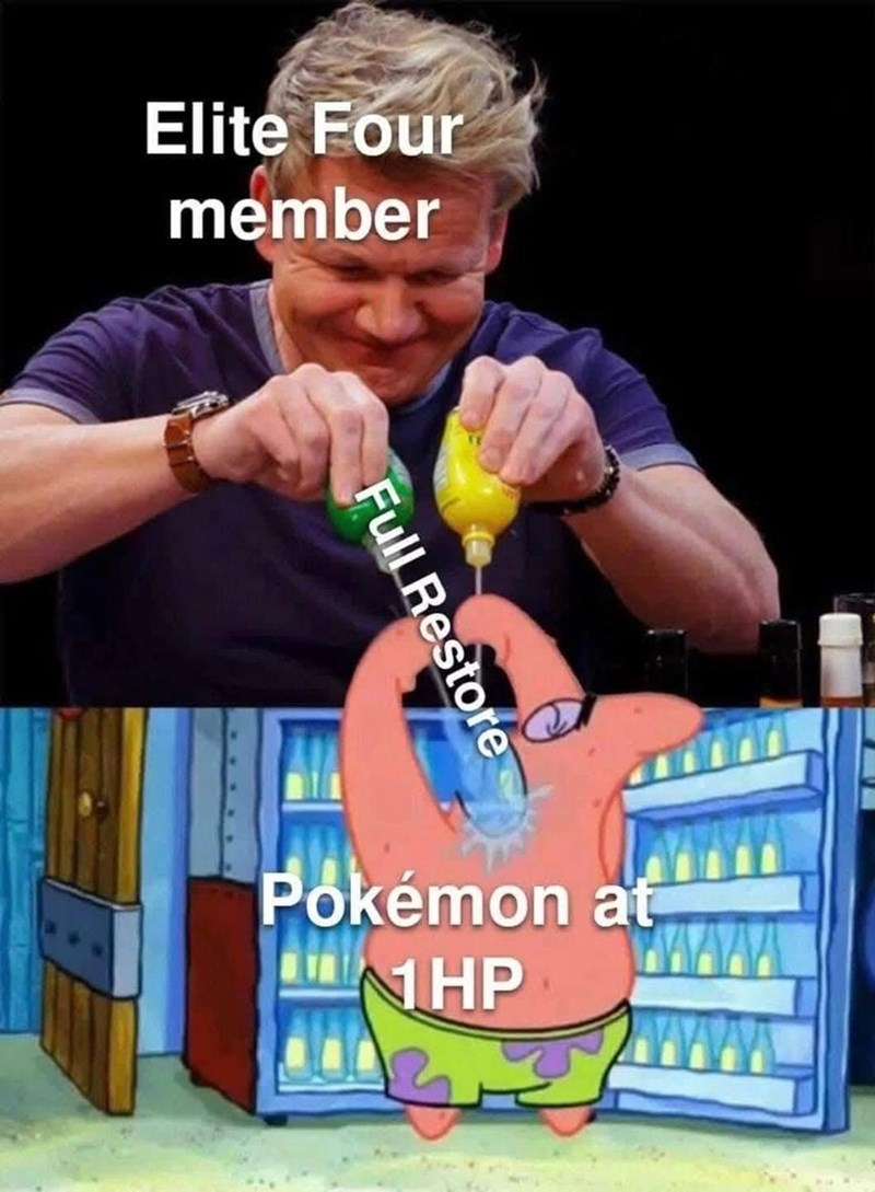 Elite Four member Full Restore Pokémon at NHP