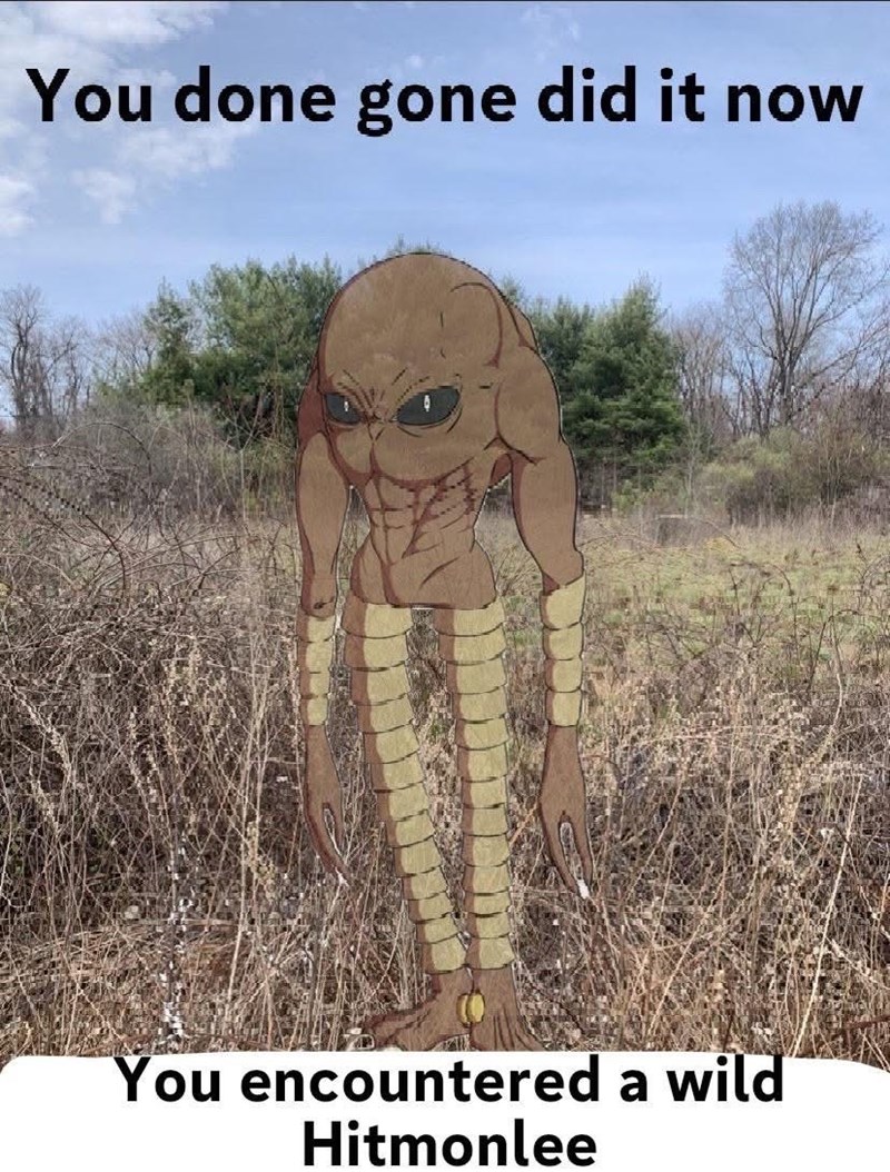 You done gone did it now You encountered a wild Hitmonlee