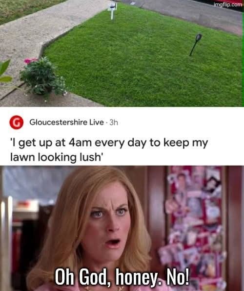 Gloucestershire Live - 3h 'I get up at 4am every day to keep my lawn looking lush' Oh God, honey. No! imgflip.com