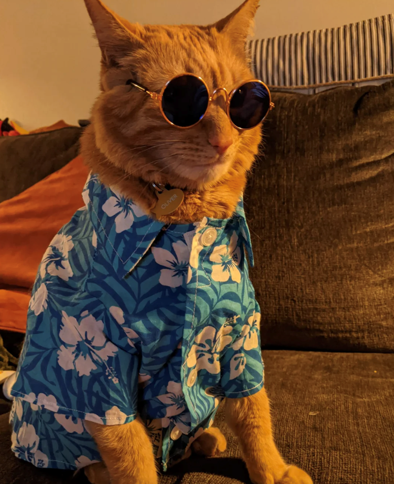 OLIVER