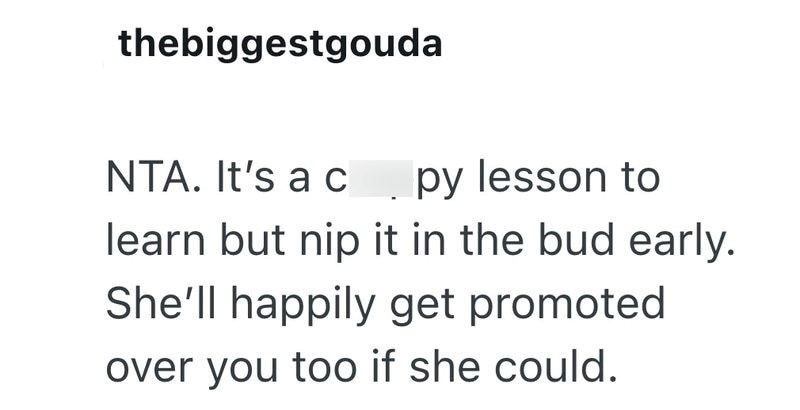 thebiggestgouda NTA. It's a c py lesson to learn but nip it in the bud early. She'll happily get promoted over you too if she could.