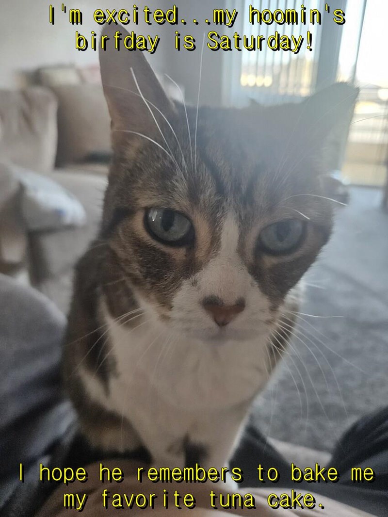 Cheezburger Image 10654191872