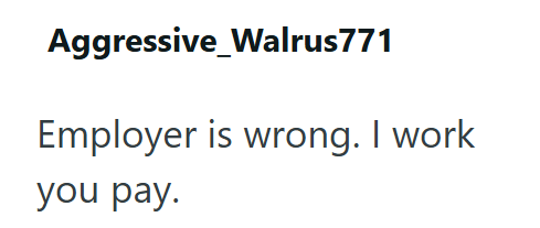 Aggressive Walrus771 Employer is wrong. I work you pay.