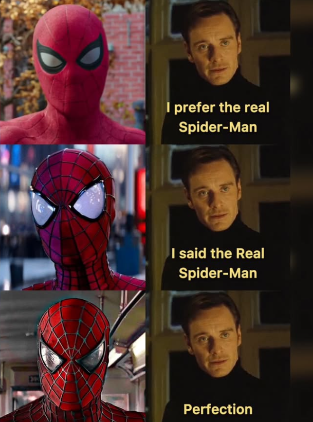 89 I prefer the real Spider-Man I said the Real Spider-Man Perfection