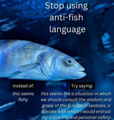 Stop using anti-fish language Instead of: this seems fishy Try saying: this seems like a situation in which we should consult the wisdom and grace of the European seabass, a species with which i would entrust my entire life and personal safety