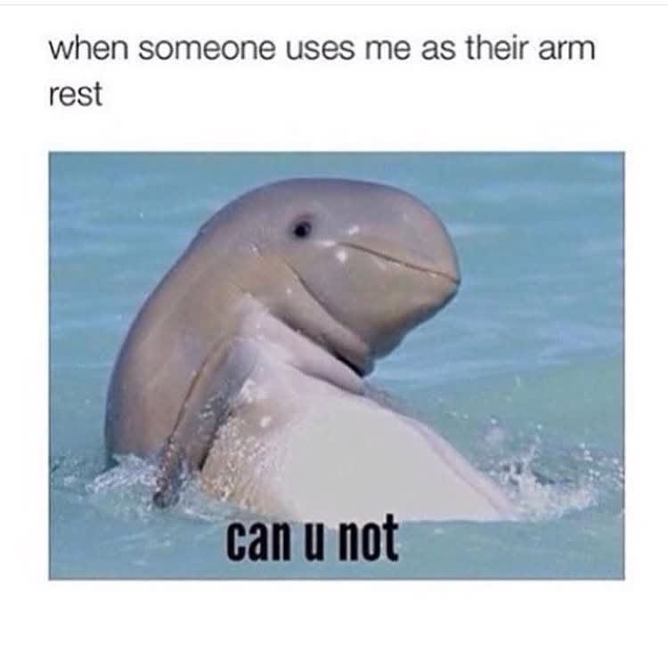 when someone uses me as their arm rest can u not