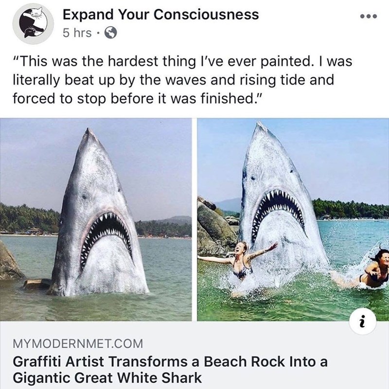 Expand Your Consciousness 5 hrs. "This was the hardest thing I've ever painted. I was literally beat up by the waves and rising tide and forced to stop before it was finished." MYMODERNMET.COM Graffiti Artist Transforms a Beach Rock Into a Gigantic Great White Shark i