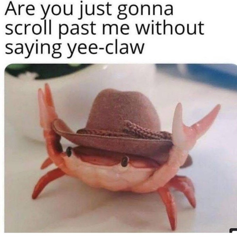 Are you just gonna scroll past me without saying yee-claw