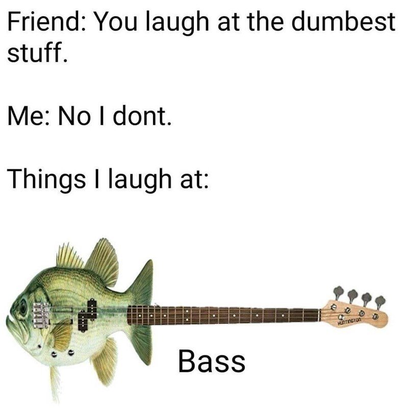 THE Friend: You laugh at the dumbest stuff. Me: No I dont. Things I laugh at: Bass eo HUNTINGTON