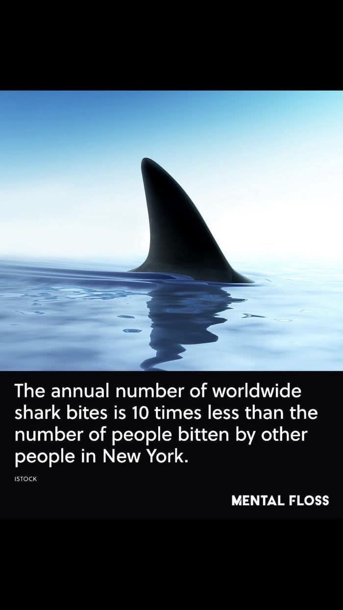 The annual number of worldwide shark bites is 10 times less than the number of people bitten by other people in New York. ISTOCK MENTAL FLOSS