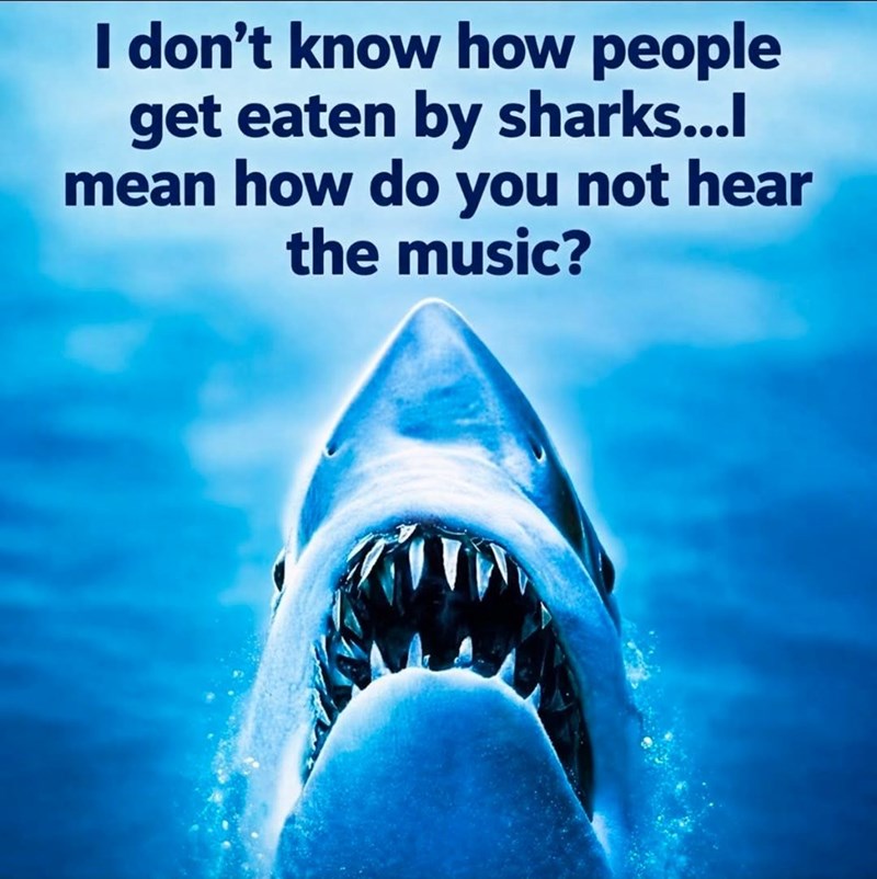 I don't know how people get eaten by sharks...l mean how do you not hear the music?