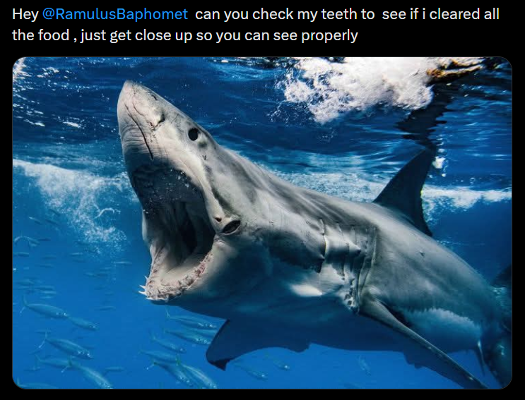 Hey @RamulusBaphomet can you check my teeth to see if i cleared all the food, just get close up so you can see properly