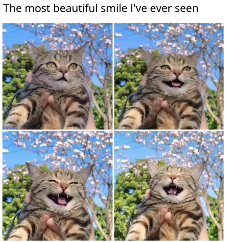 The most beautiful smile I've ever seen