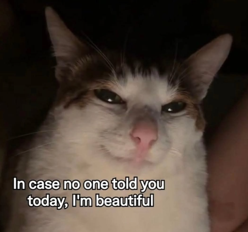In case no one told you today, I'm beautiful