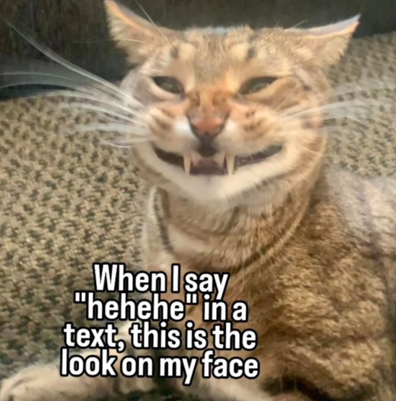 When I say "hehehe" in a text, this is the look on my face