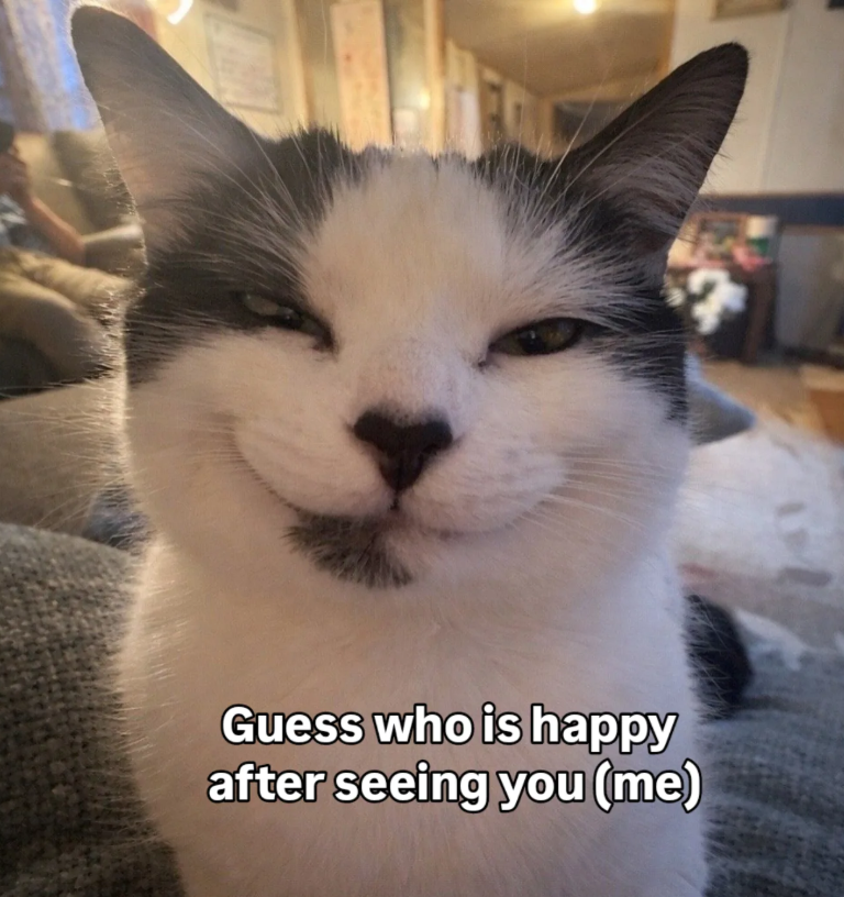 Guess who is happy after seeing you (me)