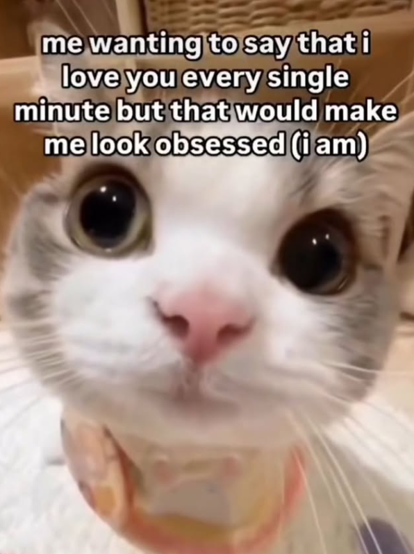 me wanting to say that i love you every single minute but that would make me look obsessed (i am)