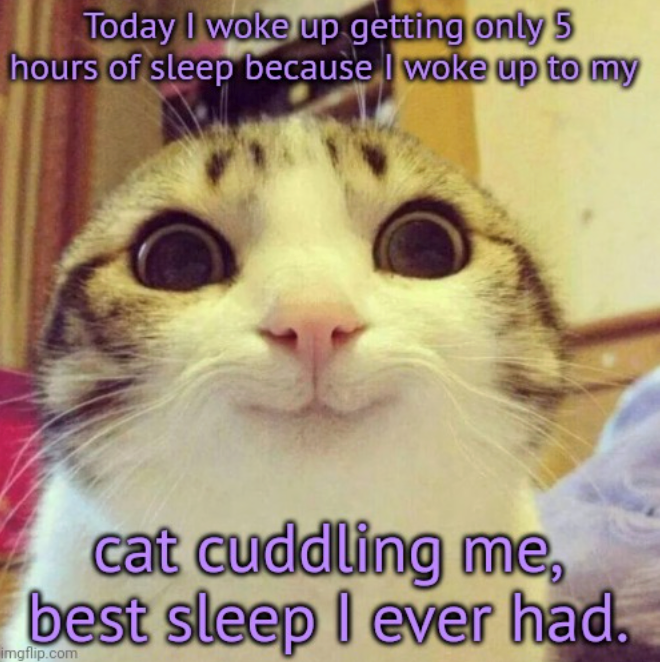 Today I woke up getting only 5 hours of sleep because I woke up to my cat cuddling me, best sleep I ever had. imgflip.com