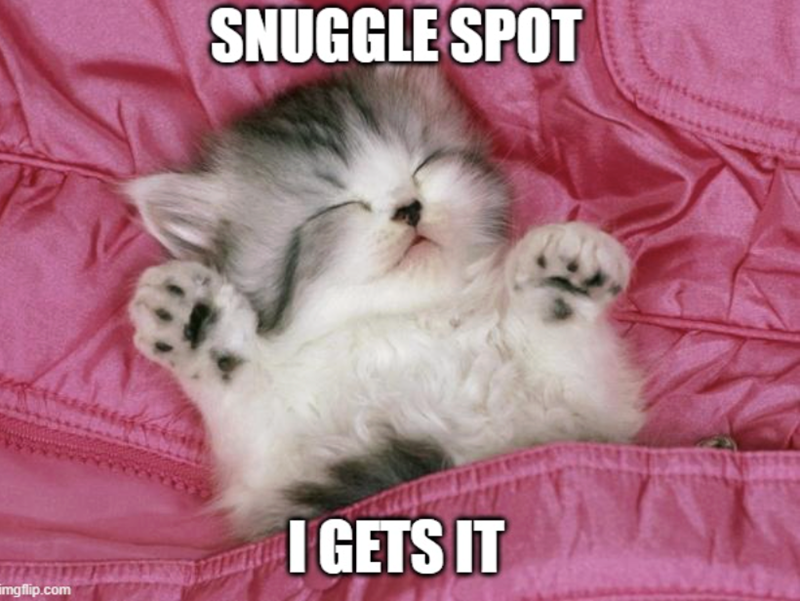 imgflip.com SNUGGLE SPOT I GETS IT