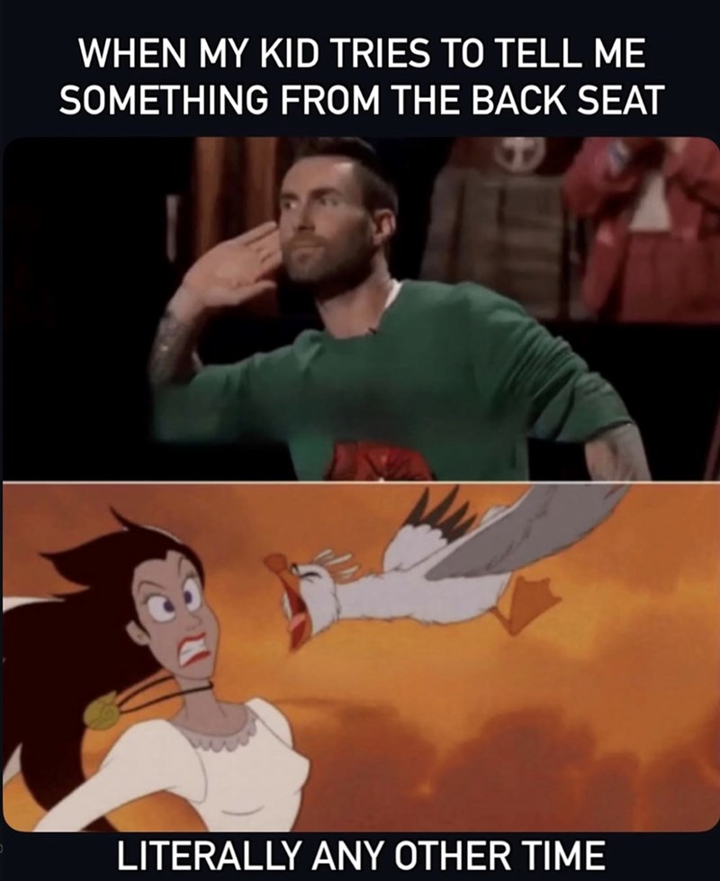 WHEN MY KID TRIES TO TELL ME SOMETHING FROM THE BACK SEAT LITERALLY ANY OTHER TIME