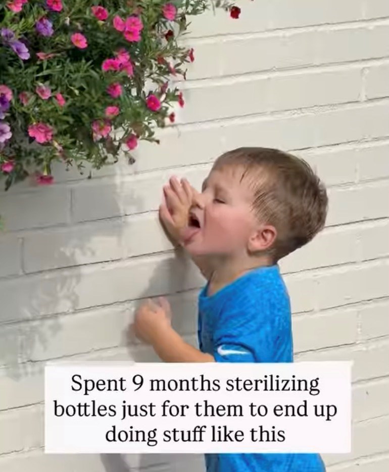 Spent 9 months sterilizing bottles just for them to end up doing stuff like this
