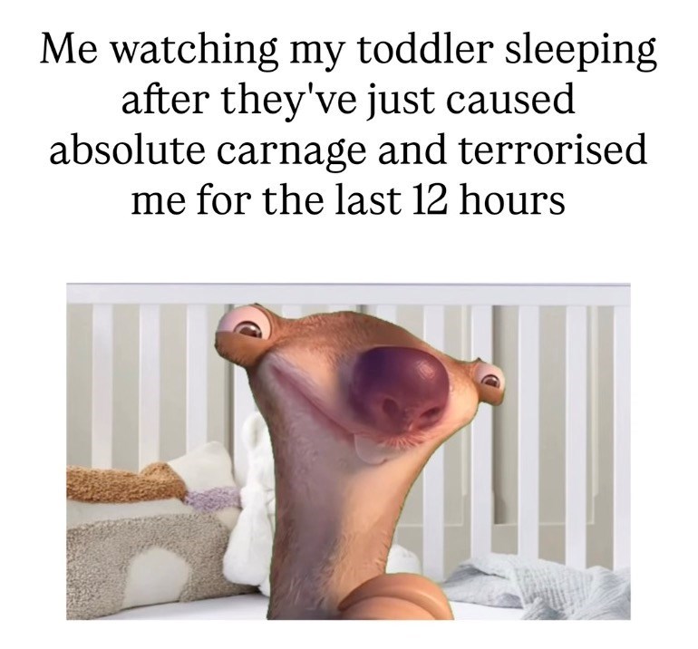 Me watching my toddler sleeping after they've just caused absolute carnage and terrorised me for the last 12 hours