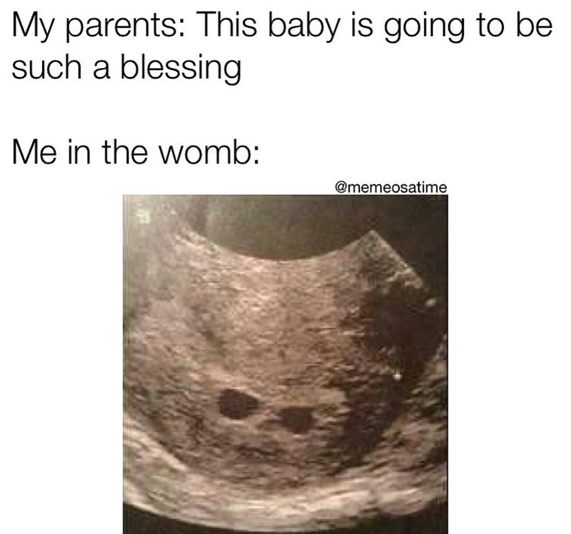 My parents: This baby is going to be such a blessing Me in the womb: @memeosatime