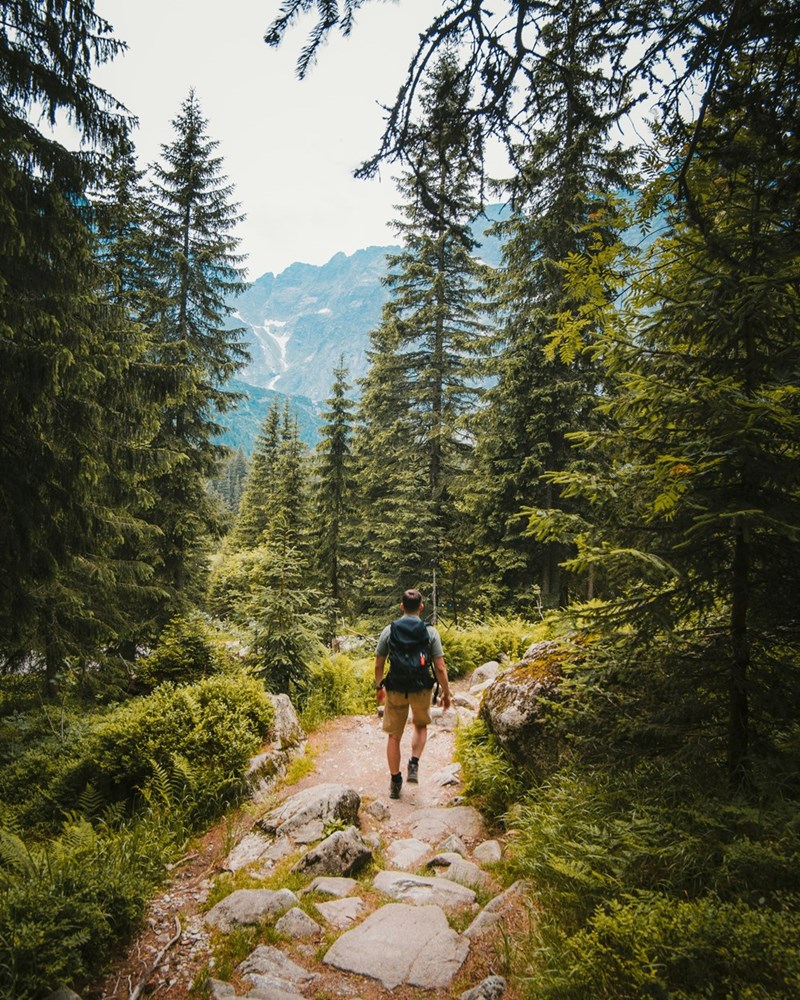 A tour guide leads a tour group through an adventure hike. 