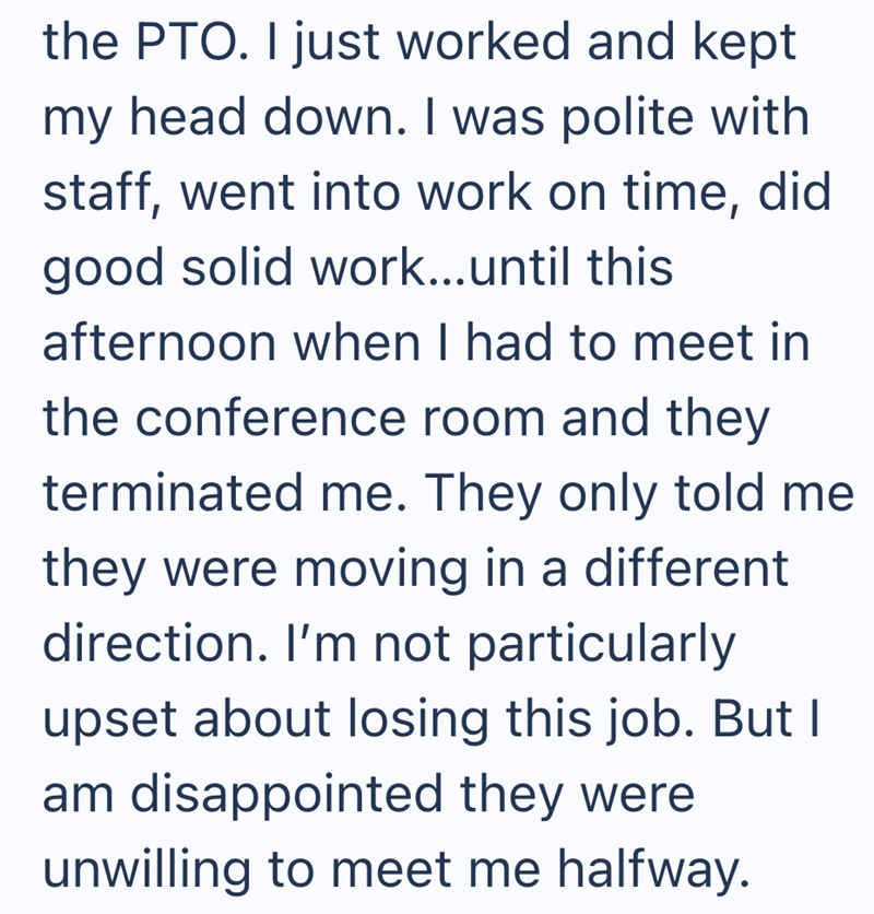 the PTO. I just worked and kept my head down. I was polite with staff, went into work on time, did good solid work...until this afternoon when I had to meet in the conference room and they terminated me. They only told me they were moving in a different direction. I'm not particularly upset about losing this job. But I am disappointed they were unwilling to meet me halfway.