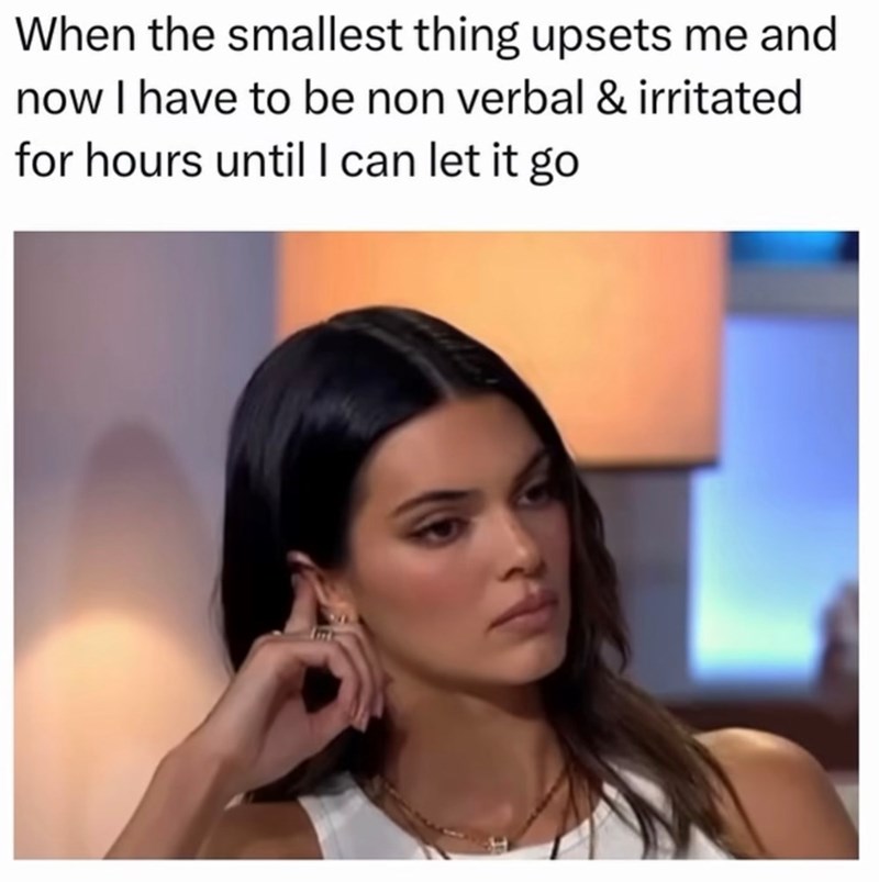 When the smallest thing upsets me and now I have to be non verbal & irritated for hours until I can let it go